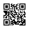 КулЛиб QR: Последний нейромант 1.2 (fb2)