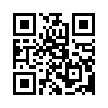 КулЛиб QR: Эскадрилья ведет бой (fb2)
