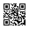 КулЛиб QR: Кстати о шнурке (fb2)