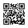 КулЛиб QR: Библиотекарь 4 (fb2)