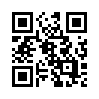 КулЛиб QR: Компаньон (fb2)
