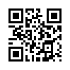КулЛиб QR: Год со Штроблом (fb2)