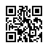 КулЛиб QR: Четвертый долг (fb2)
