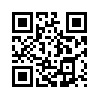 КулЛиб QR: Долг (fb2)
