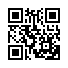 КулЛиб QR: И падал снег (fb2)