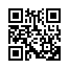 КулЛиб QR: Удачное решение (fb2)