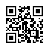 КулЛиб QR: Вирлена (fb2)