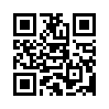 КулЛиб QR: Город серых птиц (fb2)
