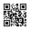КулЛиб QR: Инженерный парадокс 11 (fb2)