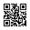 КулЛиб QR: Приключения бригадира Этьена Жерара (fb2)