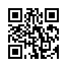 КулЛиб QR: Половина желтого солнца (fb2)