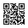 КулЛиб QR: Кто он был? (fb2)