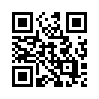 КулЛиб QR: Портрет художника (fb2)