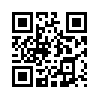 КулЛиб QR: Гатчинский коршун (fb2)