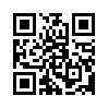 КулЛиб QR: Стихийное бедствие (fb2)