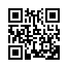 КулЛиб QR: Элси Динсмор (fb2)