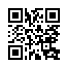 КулЛиб QR: Лизинг (fb2)