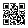 КулЛиб QR: Смысл истории. Русская идея. Самопознание (fb2)
