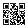 КулЛиб QR: Первый налет (fb2)