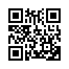 КулЛиб QR: Зона риска (fb2)