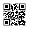 КулЛиб QR: Князь II (fb2)