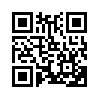 КулЛиб QR: Ответ г. Владимиру Соловьеву (fb2)