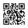 КулЛиб QR: Триумф новой Золушки (fb2)