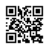 КулЛиб QR: Путь Холлана (fb2)