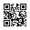 КулЛиб QR: Багдадская птица (fb2)