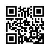 КулЛиб QR: Беглец (fb2)
