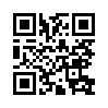 КулЛиб QR: Побратимы (fb2)
