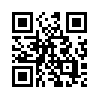 КулЛиб QR: Слепой (ЛП) (fb2)