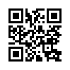 КулЛиб QR: Пилот «штуки» (fb2)