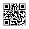 КулЛиб QR: Девственница (fb2)