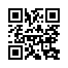 КулЛиб QR: Кадет (СИ) (fb2)