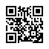 КулЛиб QR: Історія (fb2)
