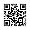 КулЛиб QR: Вроде практик 3 (fb2)