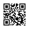 КулЛиб QR: Гонители (fb2)
