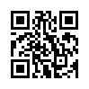 КулЛиб QR: Метро 2033: Питер (fb2)