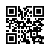 КулЛиб QR: Последний из рода Бельских XI (fb2)