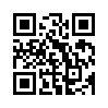 КулЛиб QR: Пожар (fb2)