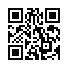 КулЛиб QR: Рейс (fb2)
