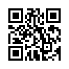 КулЛиб QR: Wampum (fb2)