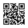 КулЛиб QR: Неукротимый партизан (fb2)