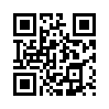 КулЛиб QR: Метель (fb2)