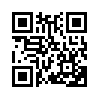 КулЛиб QR: Придворный (fb2)