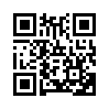 КулЛиб QR: Рэй (fb2)