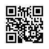 КулЛиб QR: Вознесение (fb2)
