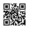 КулЛиб QR: Мой Михаэль (fb2)