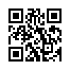 КулЛиб QR: Два брата (fb2)